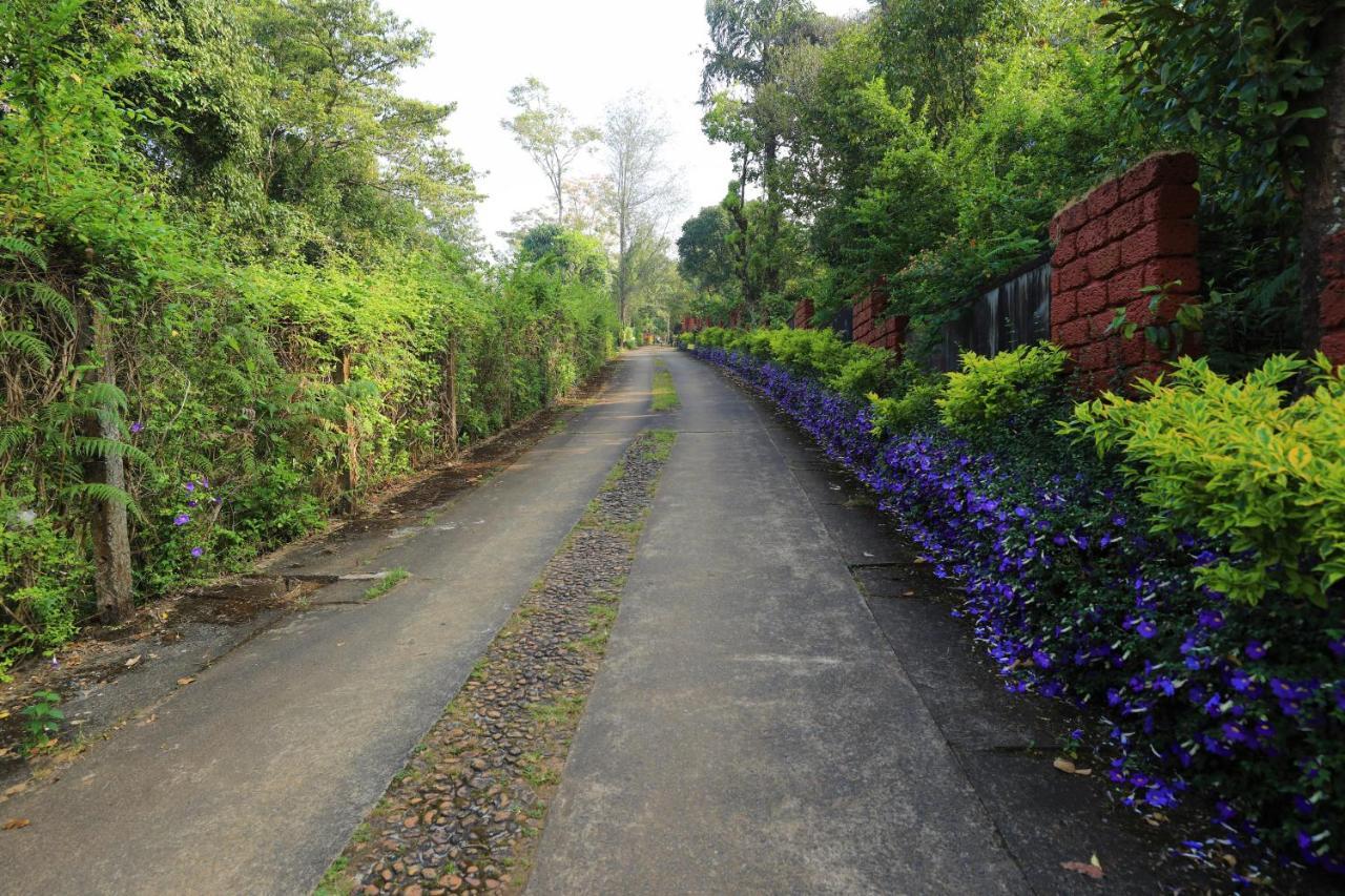 Heritage Resort Coorg Madikeri Luaran gambar
